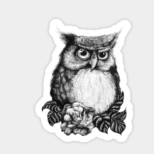 Owl with Rose Sticker